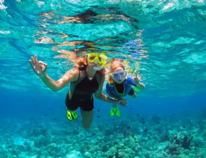 GK Palms Resort Explore the Indian Ocean-underwater world through snorkeling and diving